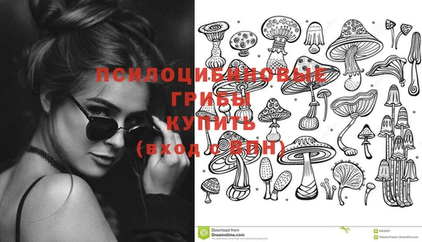 2c-b Гусев