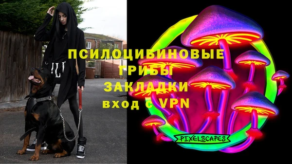 ALPHA PVP Гусиноозёрск