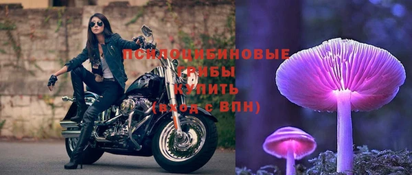 ALPHA PVP Гусиноозёрск