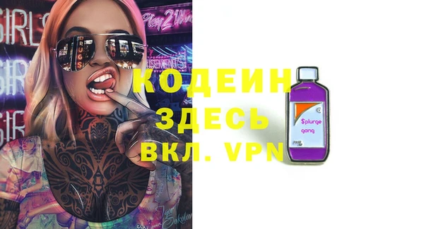 2c-b Гусев