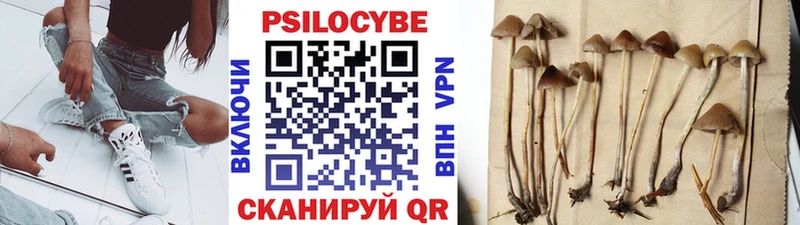 Купить где  Кореновск  Галлюциногенные грибы GOLDEN TEACHER 